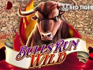 Bulls Run Wild thumbnail
